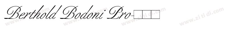 Berthold Bodoni Pro字体转换